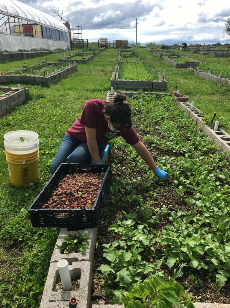 OFH GARDEN 2 768x1029