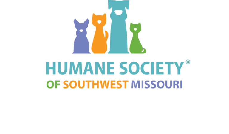 colored logo hsswmo 1 1 768x451