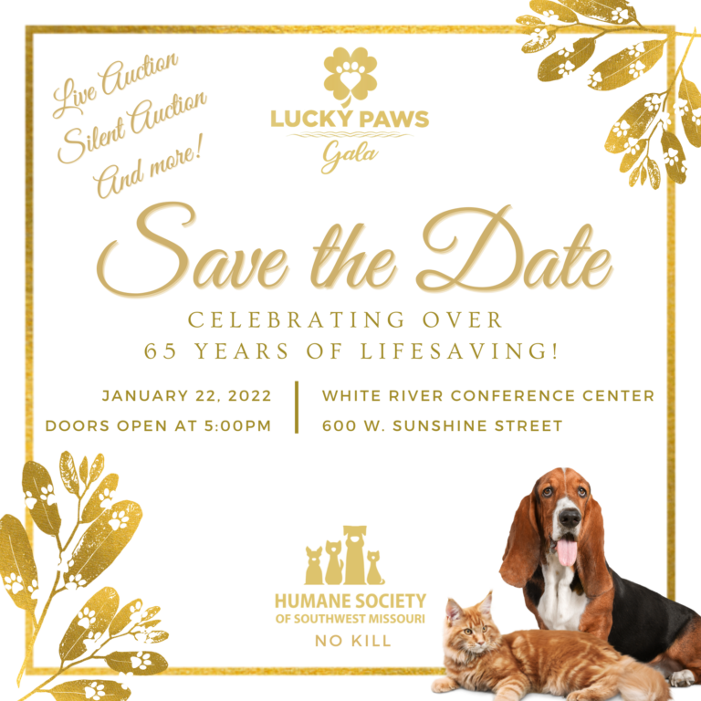lucky paws 2022 Save the date final 2 768x768