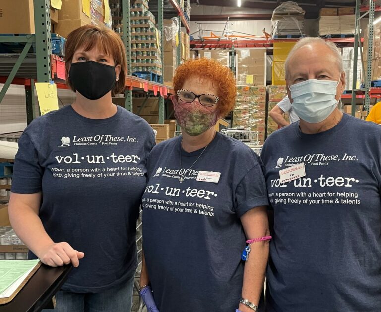 Volunteer 3 768x629
