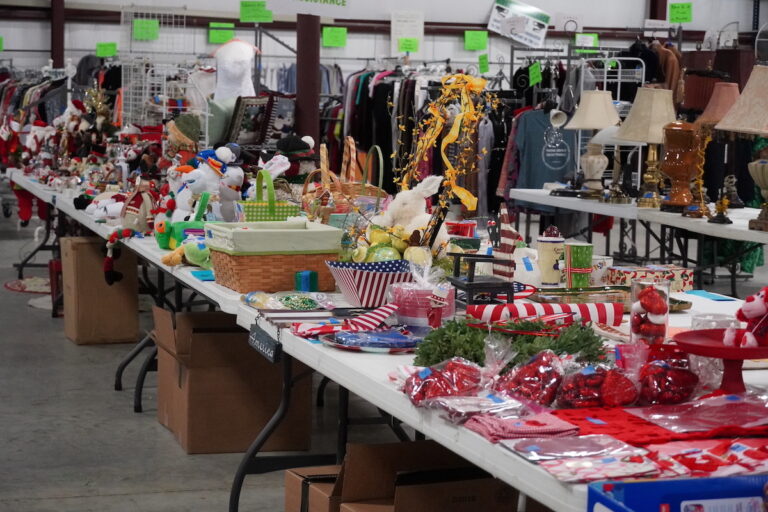 DSC02710 small 768x512