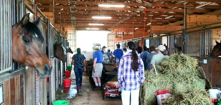 20210524 210505 768x364