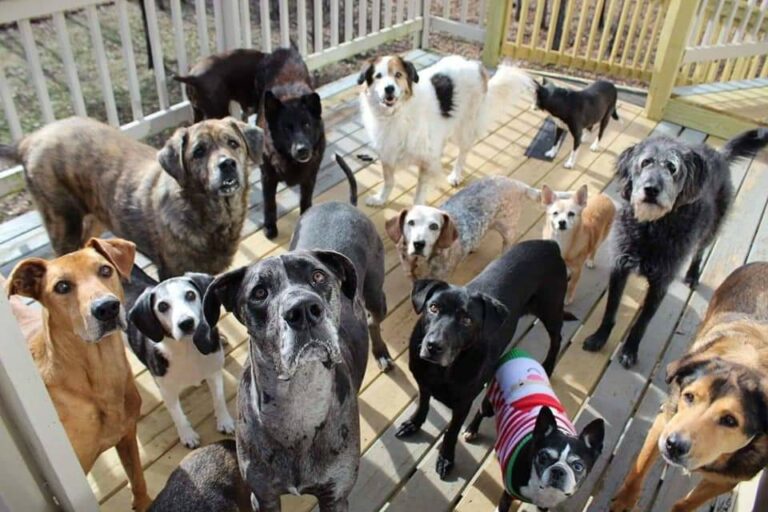 FB IMG 1642275107728 768x512