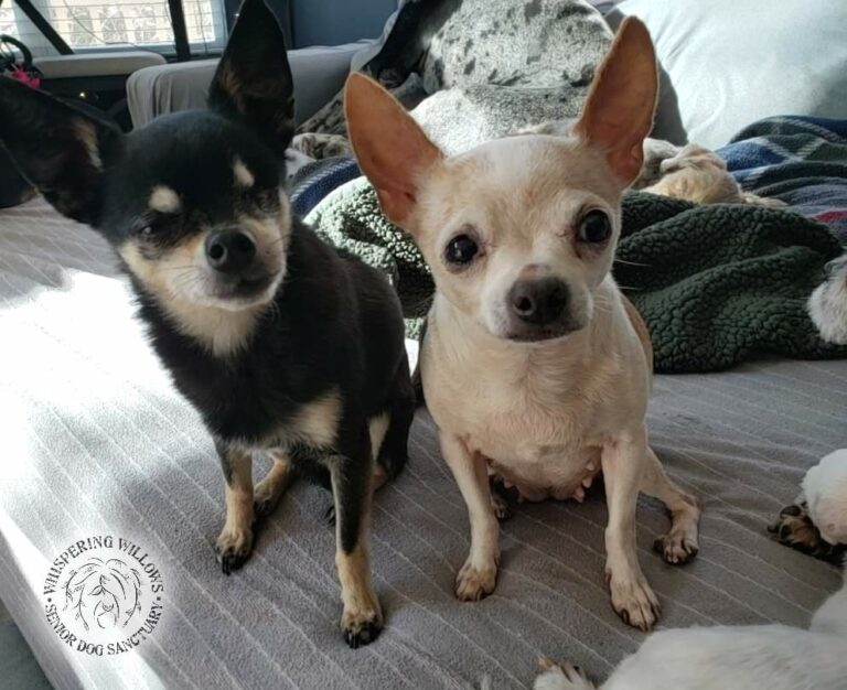 FB IMG 1647611988112 768x626