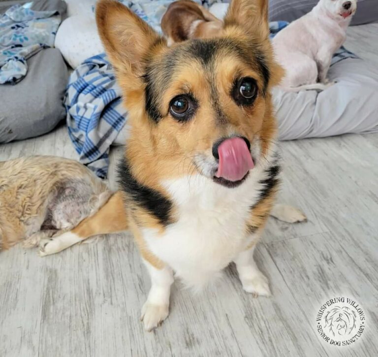 FB IMG 1651839025584 768x725