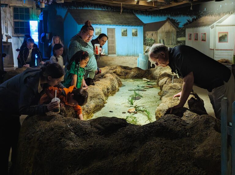 Guest Engagement Guide at Invertebrate Touch Pool