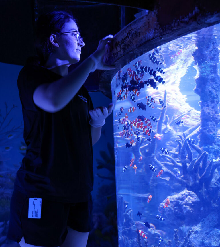 Aquatics Volunteer Aquatics Volunteer