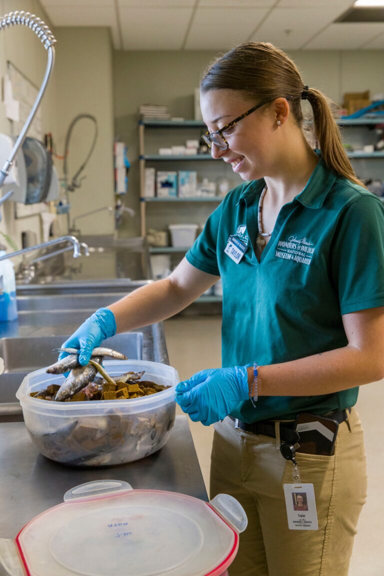 Animal Care Volunteer Animal Care Volunteer