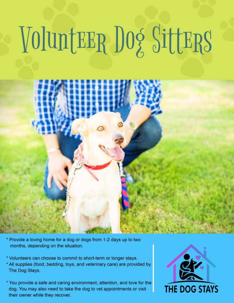 volunteers 768x994